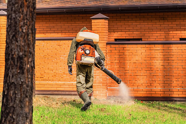 Trusted Cockroach Control service in North Judson, IN - Nex Pest Control